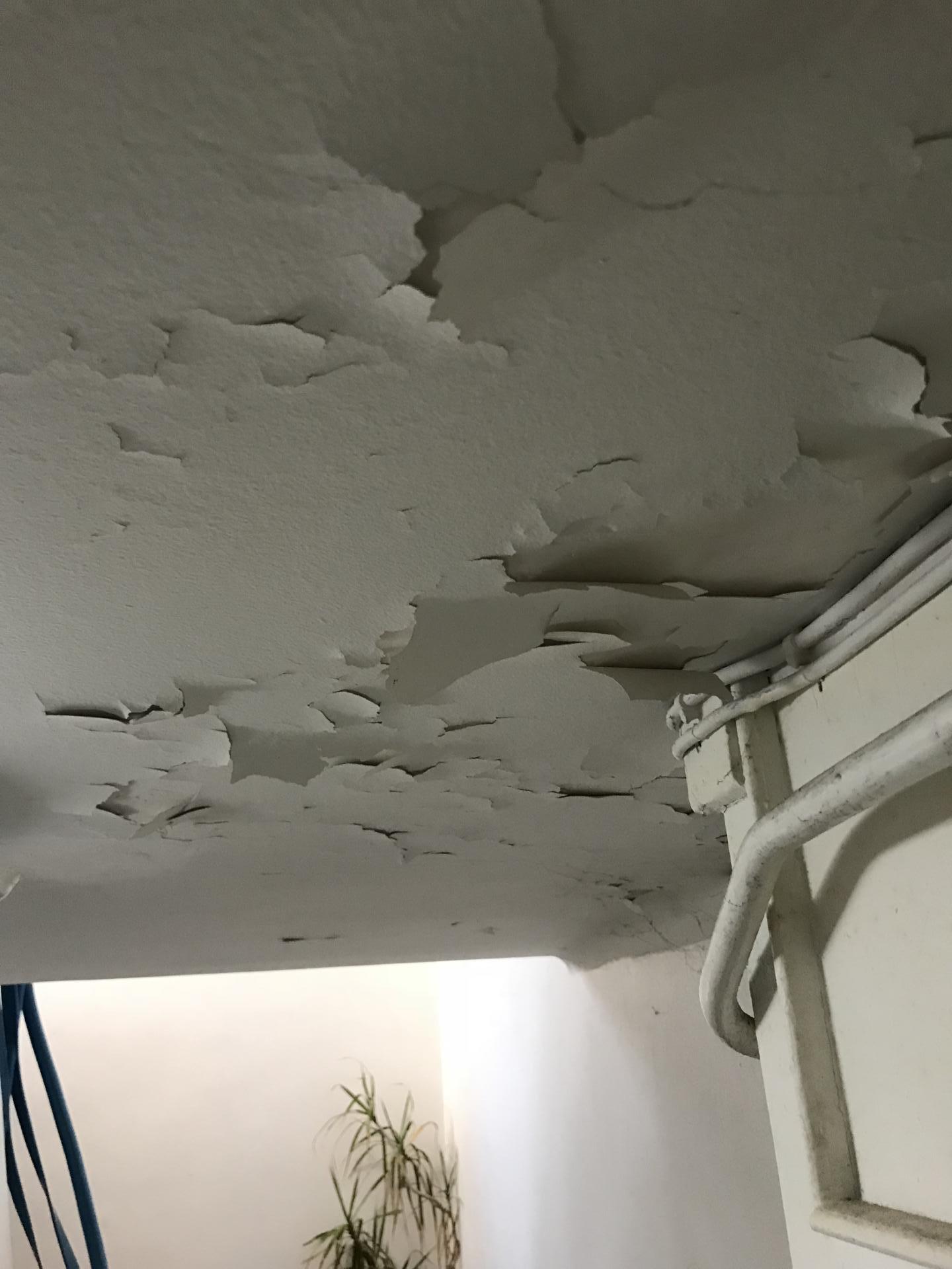 Plafond avant